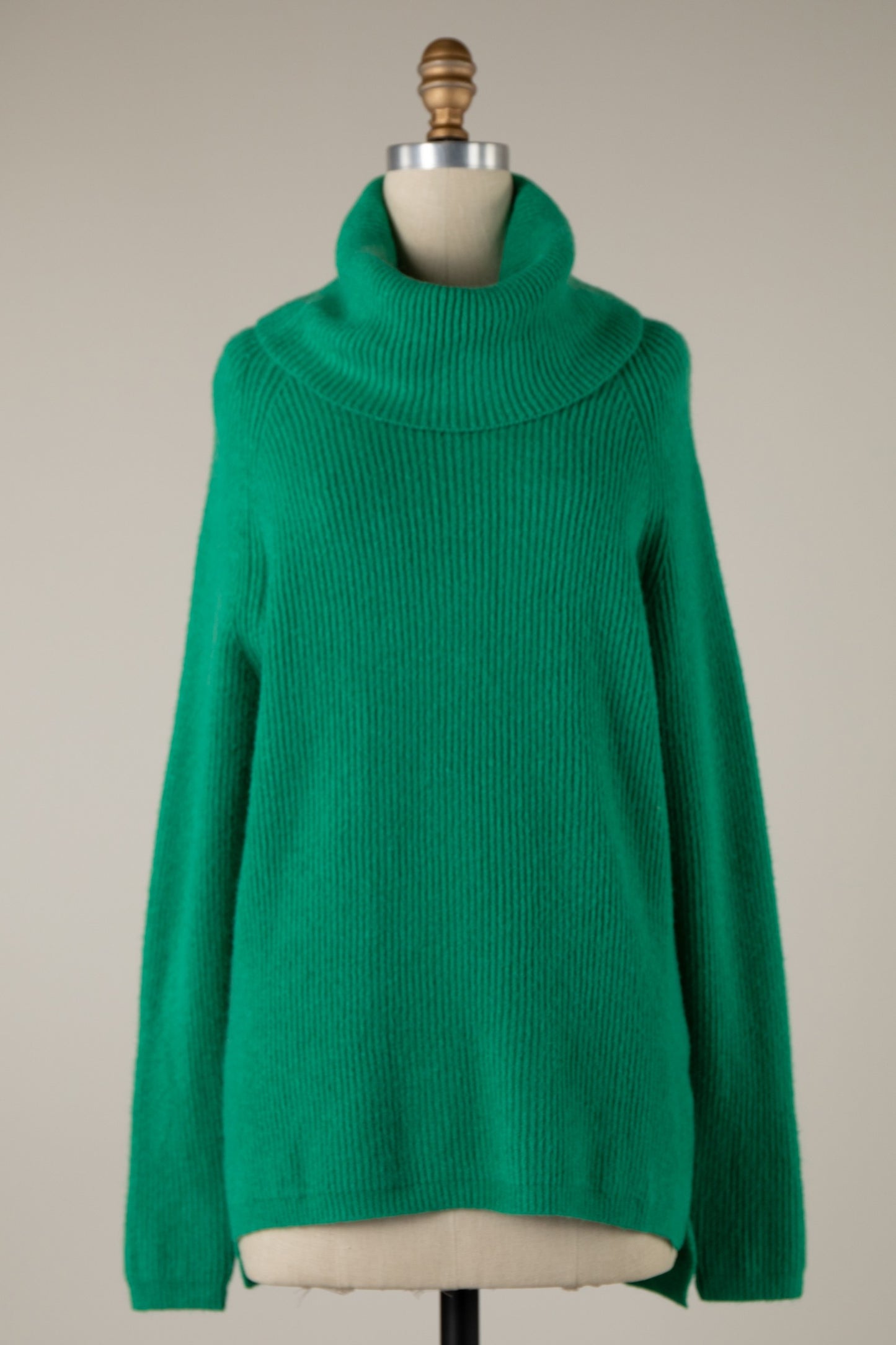 Basic Ribbed Turtleneck Sweater - Final Sale