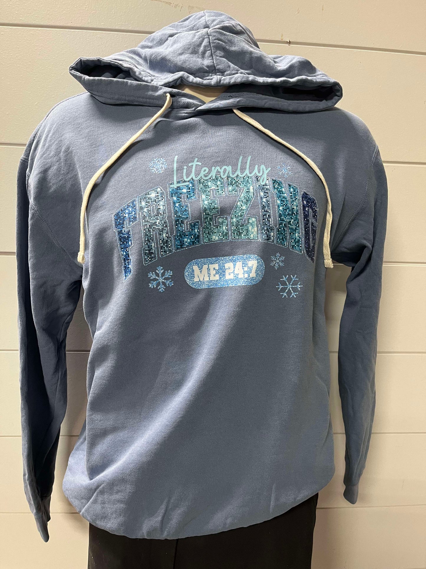 Literally Freezing Garment Dyed Hoodie | Comfort Colors - Final Sale
