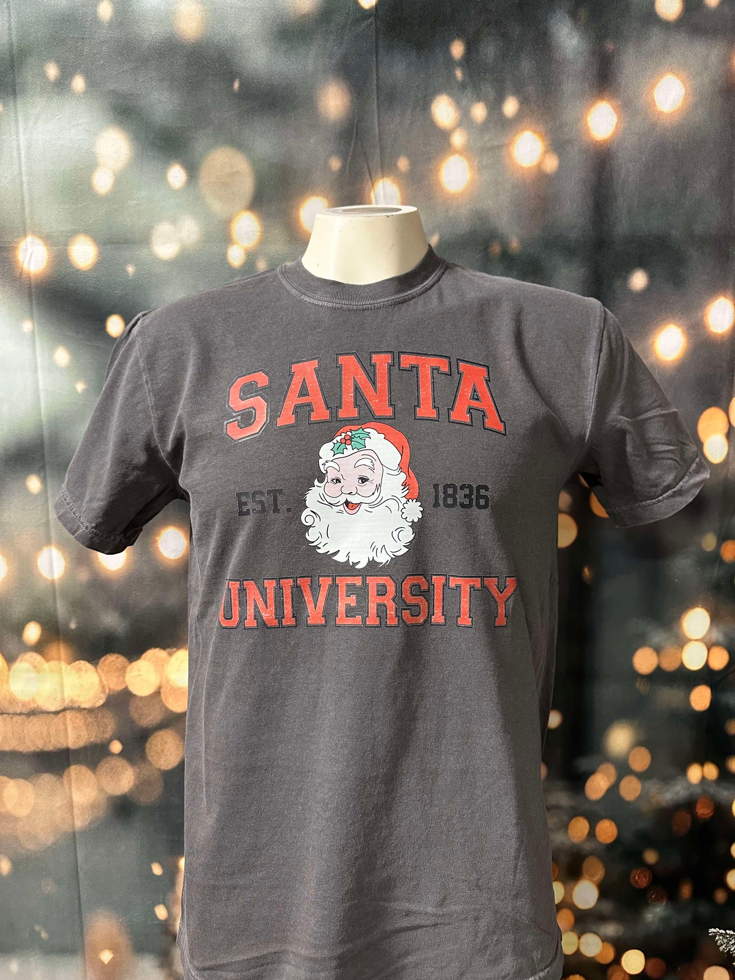 Santa University Holiday Garment Dyed Graphic T-shirt - Final Sale