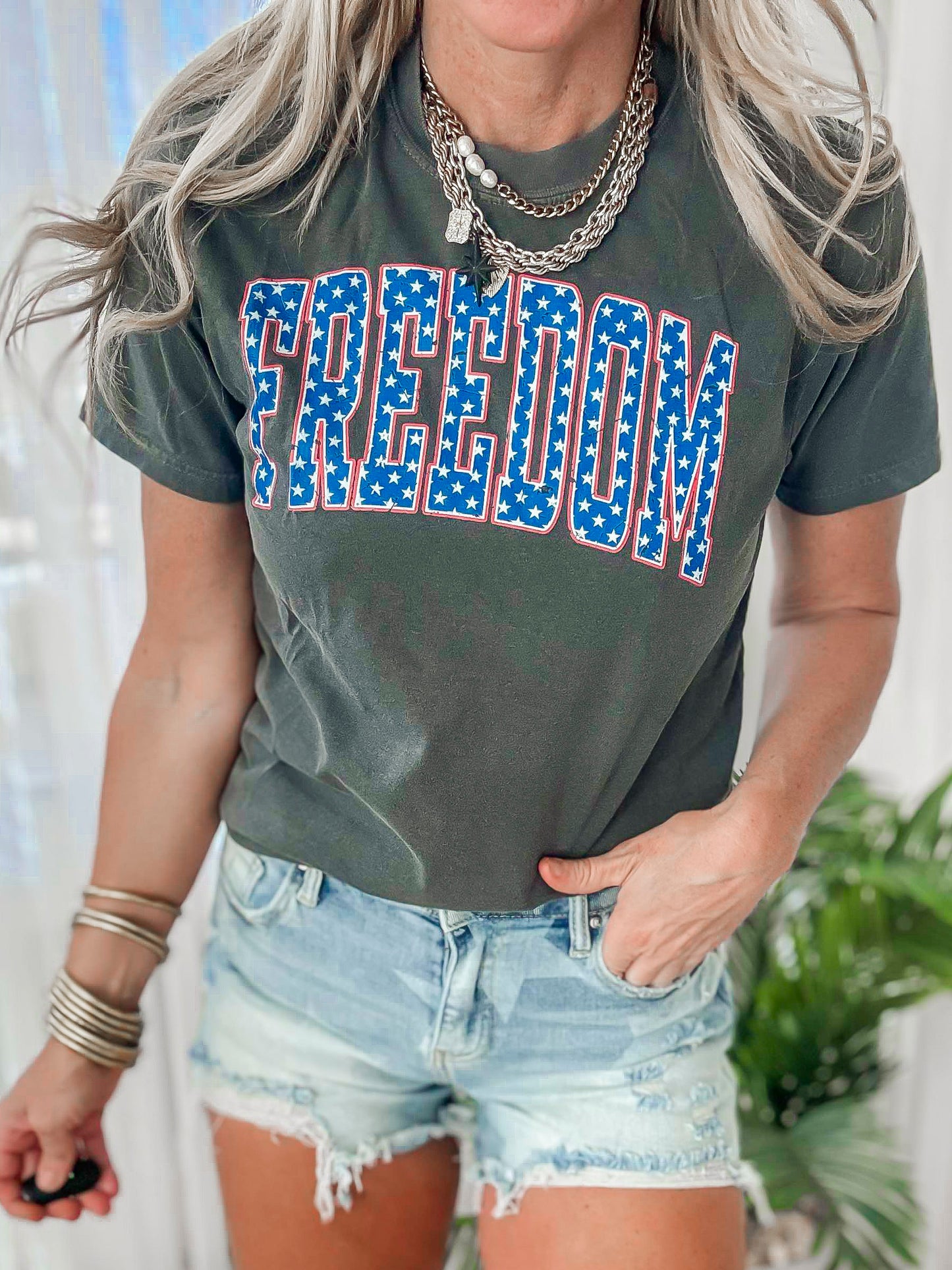 Freedom Stars Garment Dyed Graphic T-shirt