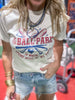 At the Ballpark Garment Dyed Graphic T-shirt