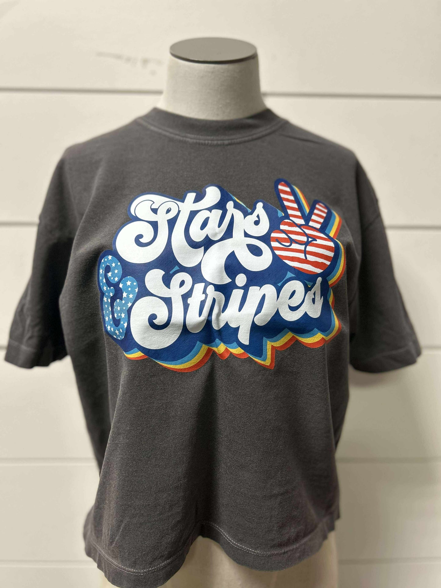 Stars & Stripes Garment Dyed Graphic Boxy Crop T-shirt - Final Sale