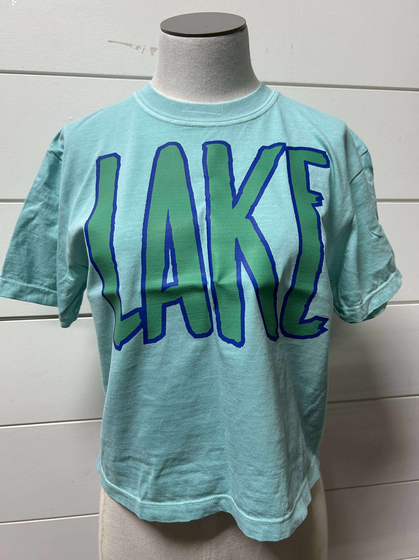 Mint Lake Garment Dyed Graphic Boxy Crop T-shirt