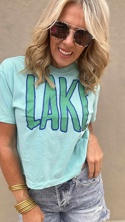 Mint Lake Garment Dyed Graphic Boxy Crop T-shirt