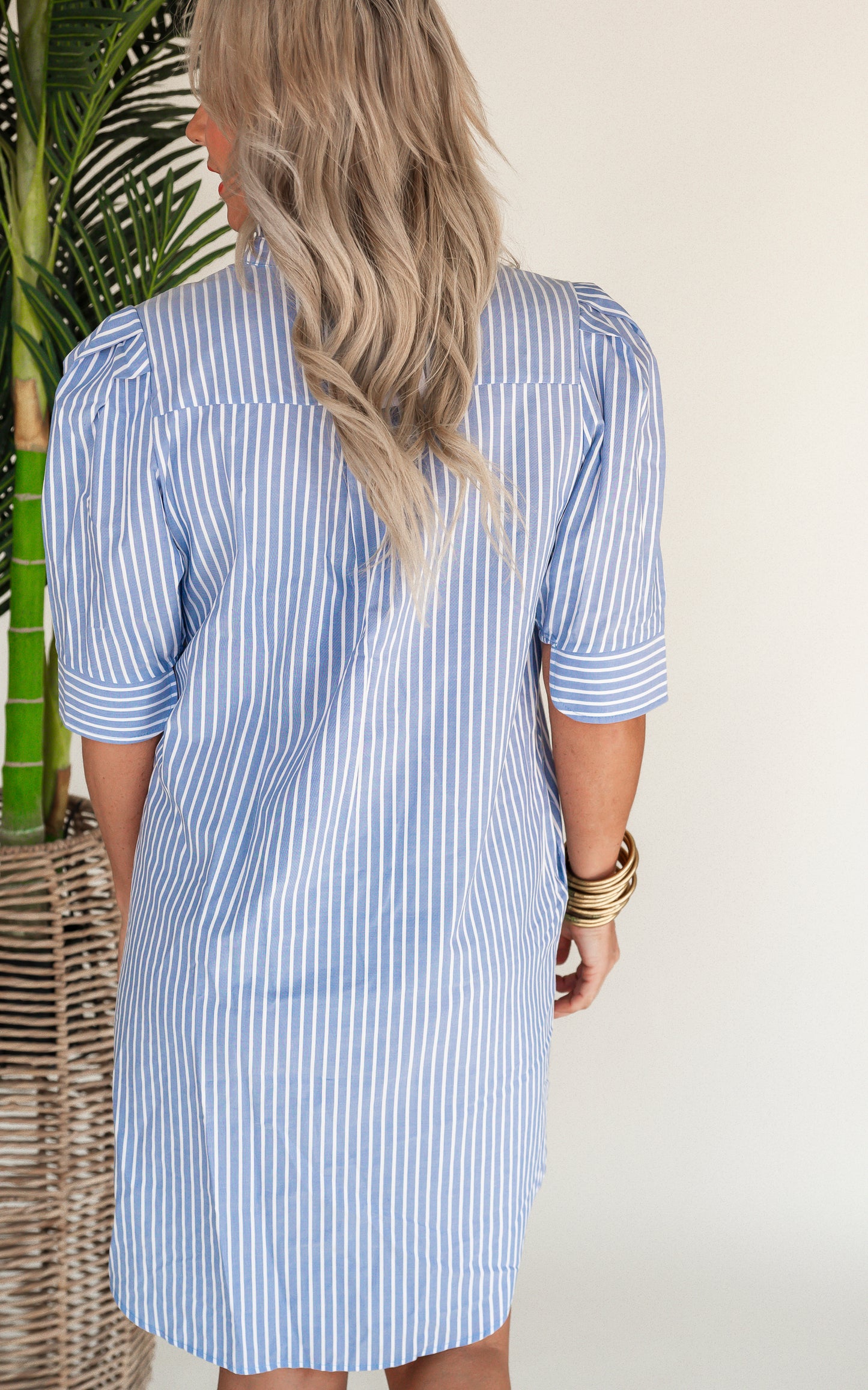 The Callie Denim Stripe Shirt Dress by Adrienne