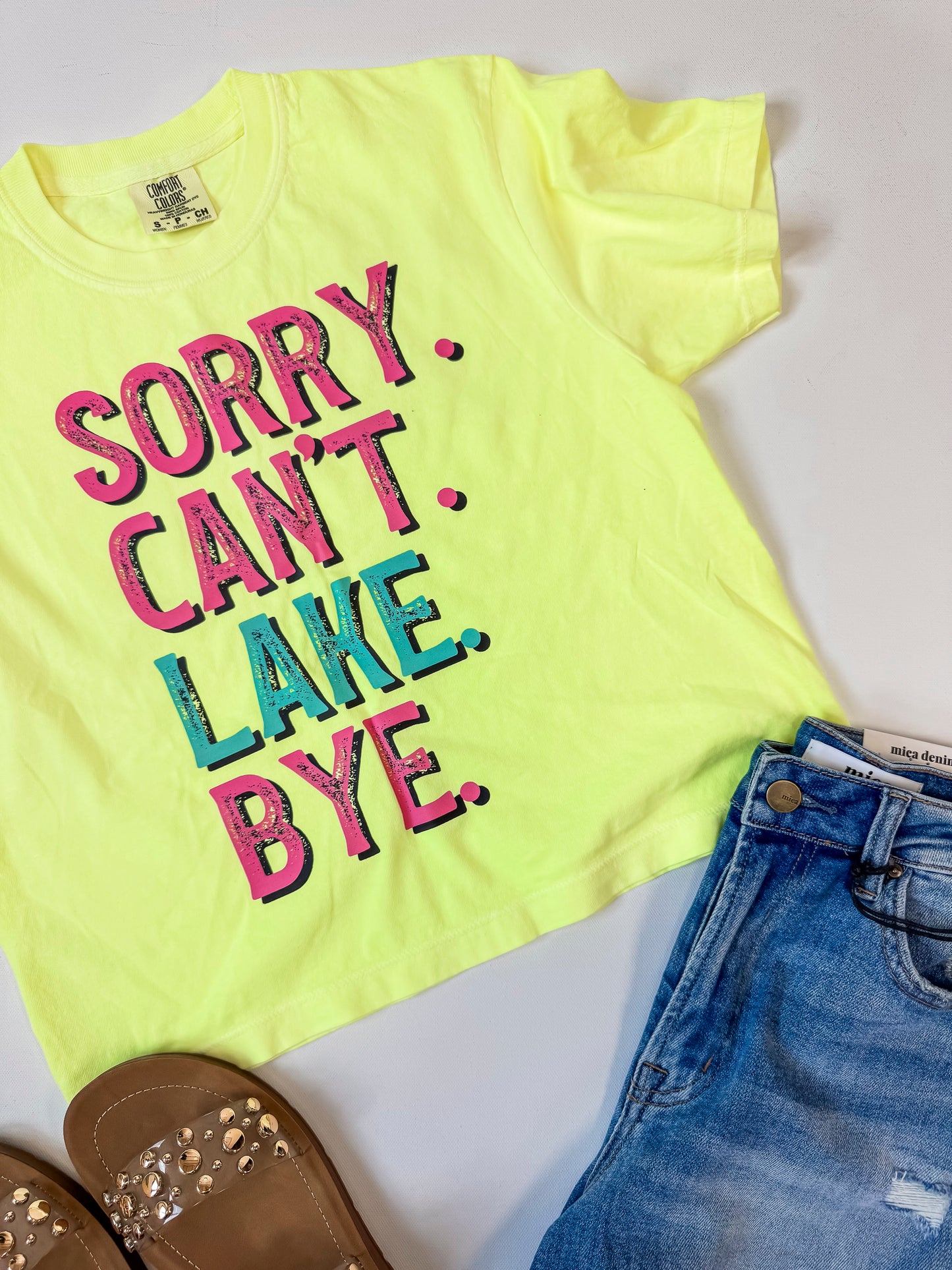 Sorry. Can't. Lake. Bye. Garment Dyed Graphic Boxy Crop T-shirt
