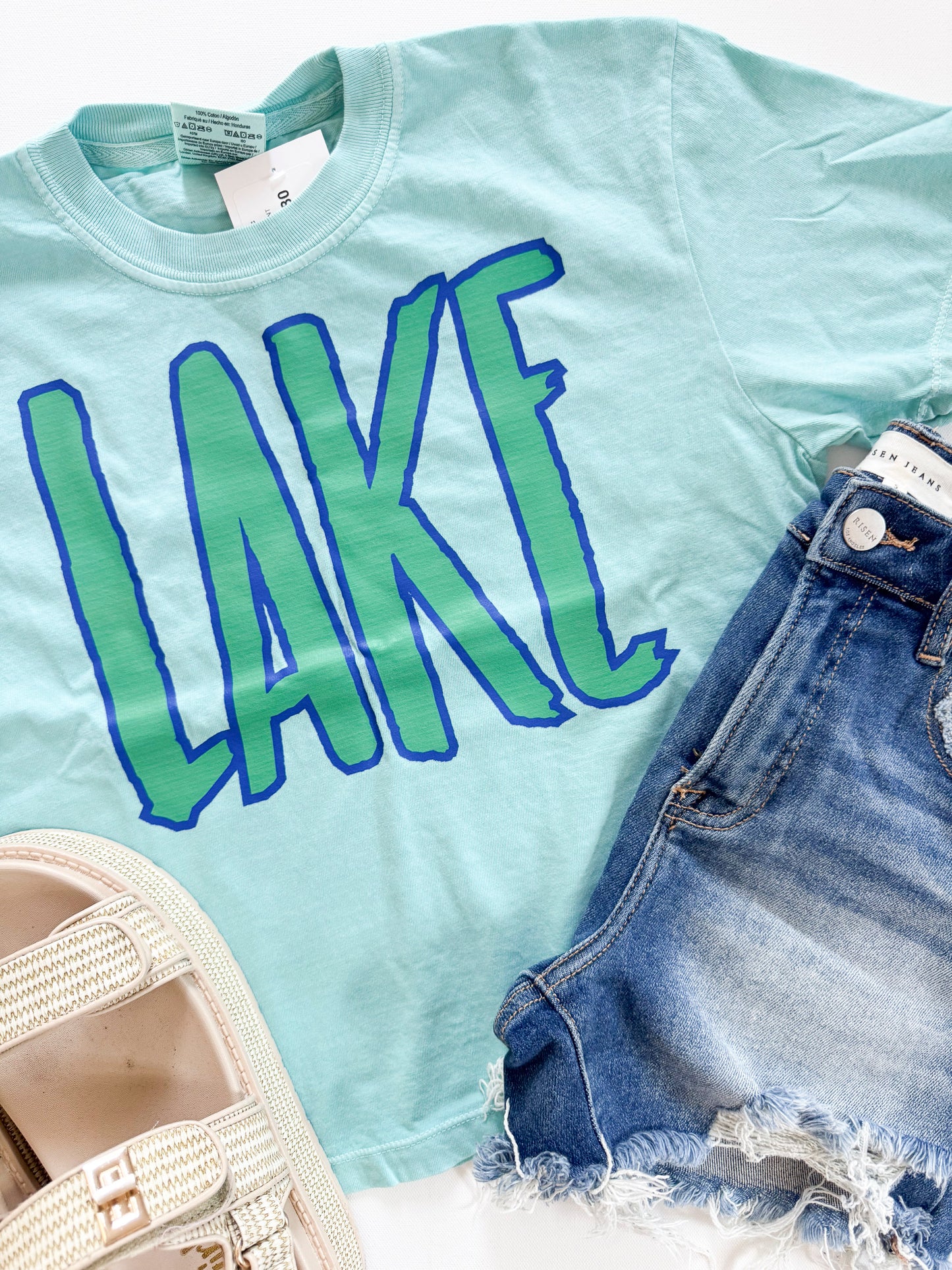 Mint Lake Garment Dyed Graphic Boxy Crop T-shirt