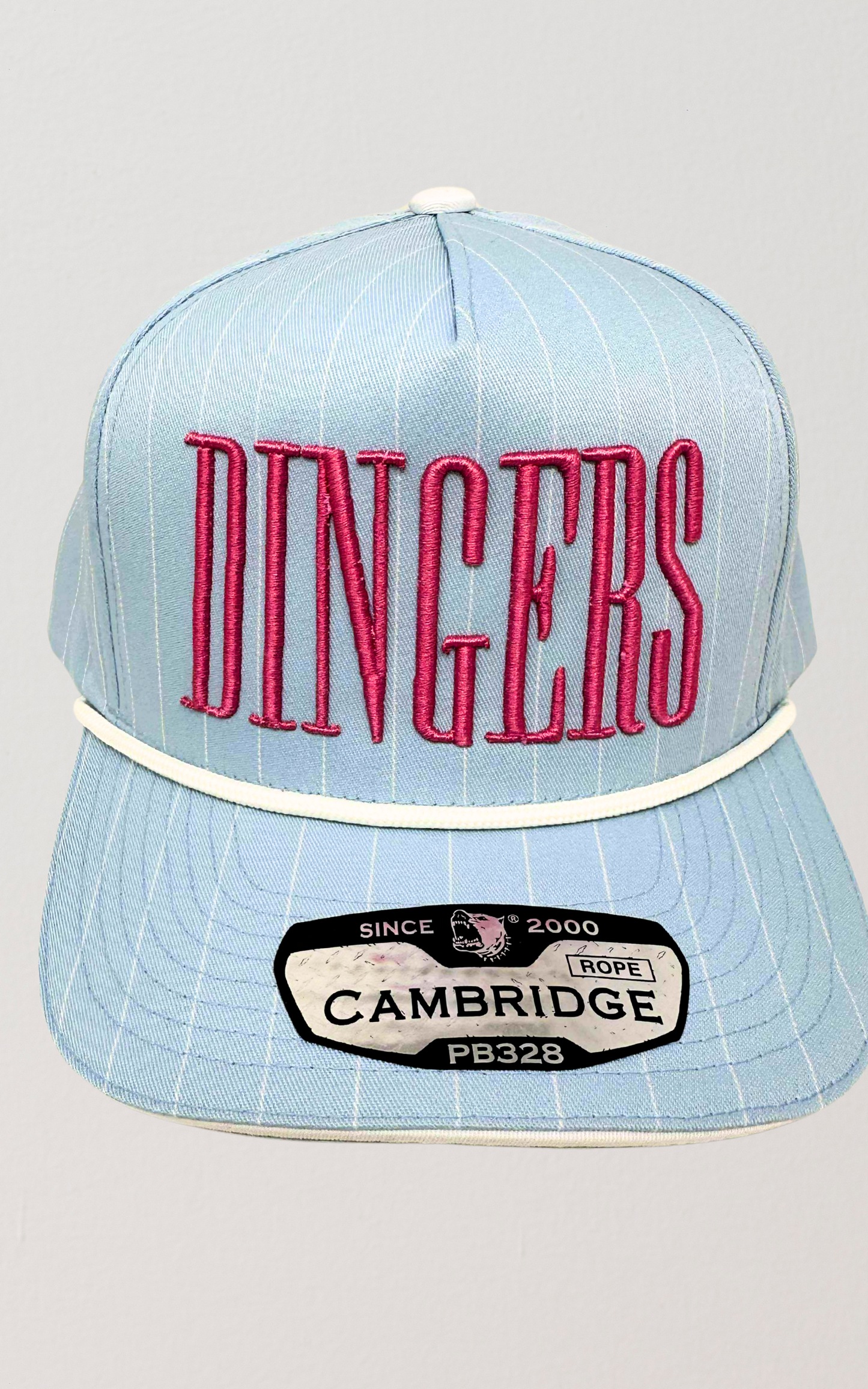 Dingers Baseball Light Blue Stripe Trucker Hat