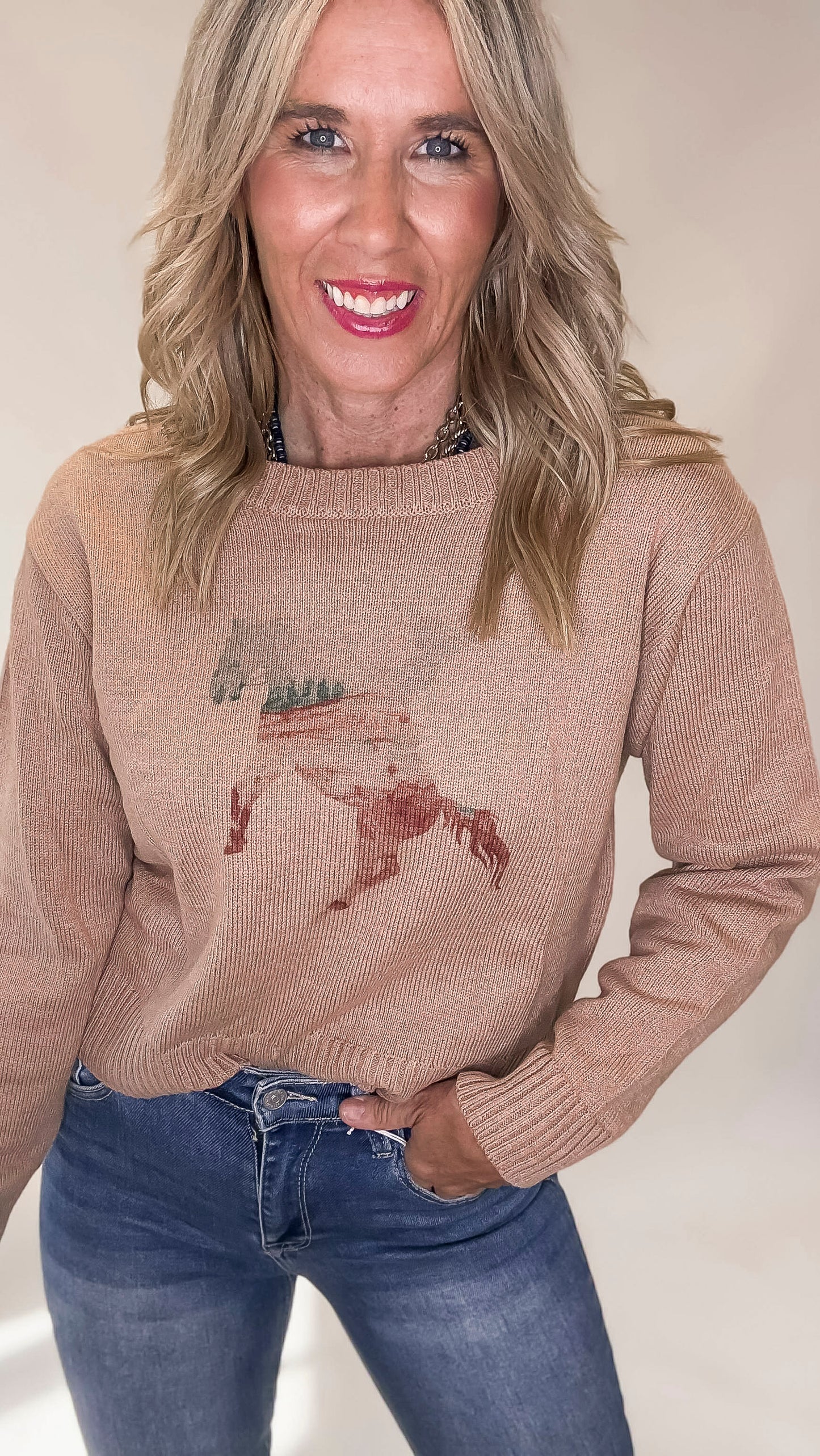 Giddy Up Cowgirl Horse Sweater