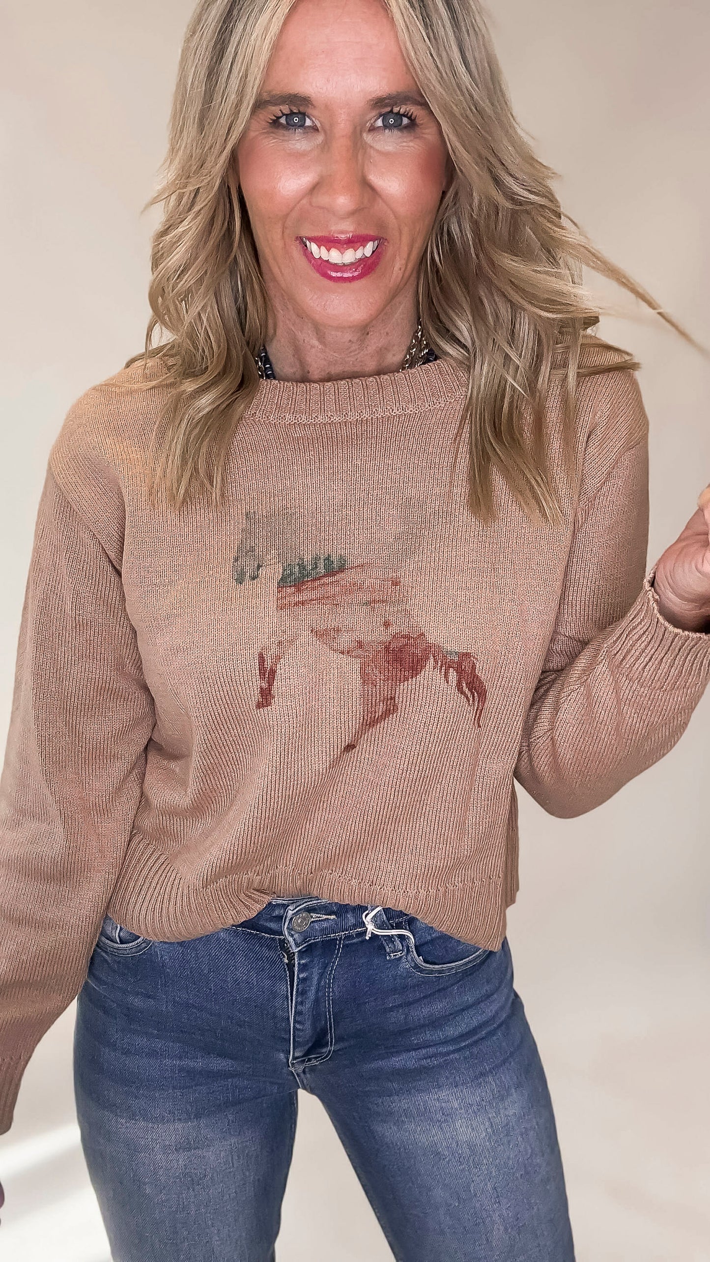 Giddy Up Cowgirl Horse Sweater