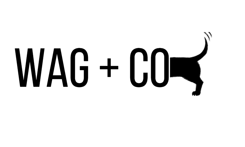 Wag + Co Dog Accessories