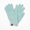 C.C. Mint Chenille Touchscreen Gloves