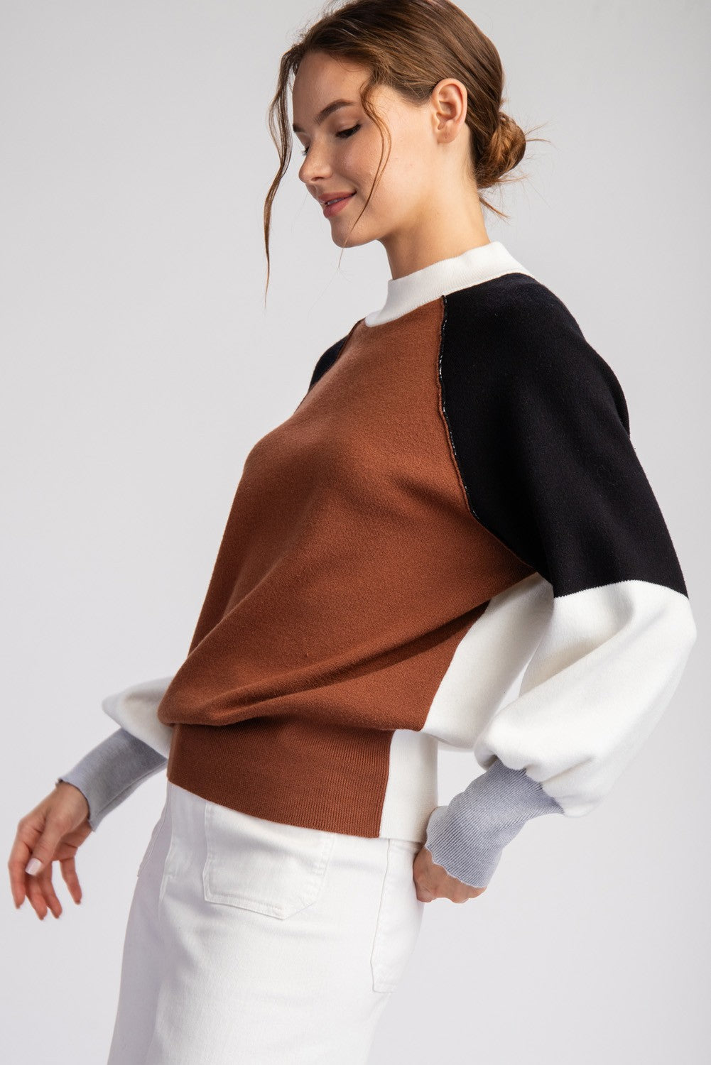 Terracotta Colorblock Mock Neck Sweater Top