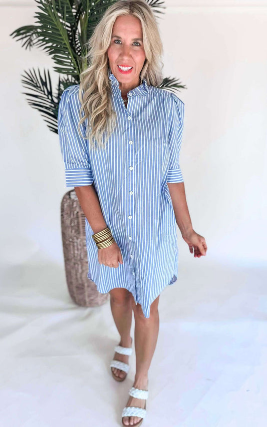 The Callie Denim Stripe Shirt Dress by Adrienne - Final Sale