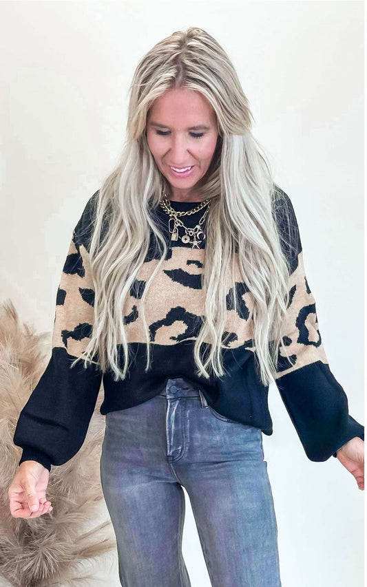 Solid Animal Contrast Sweater