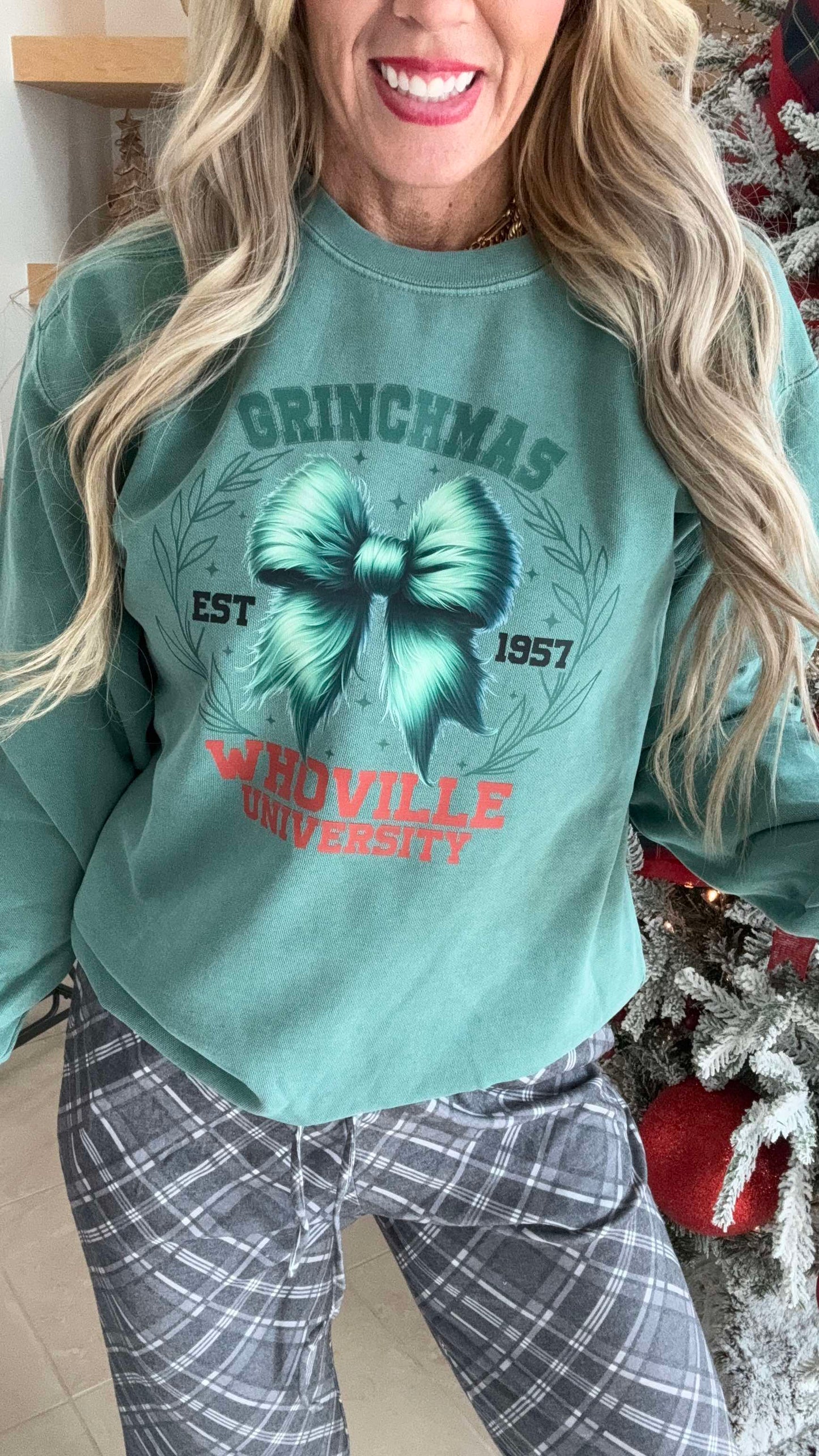 Whoville University Garment Dyed Sweatshirt | Comfort Colors