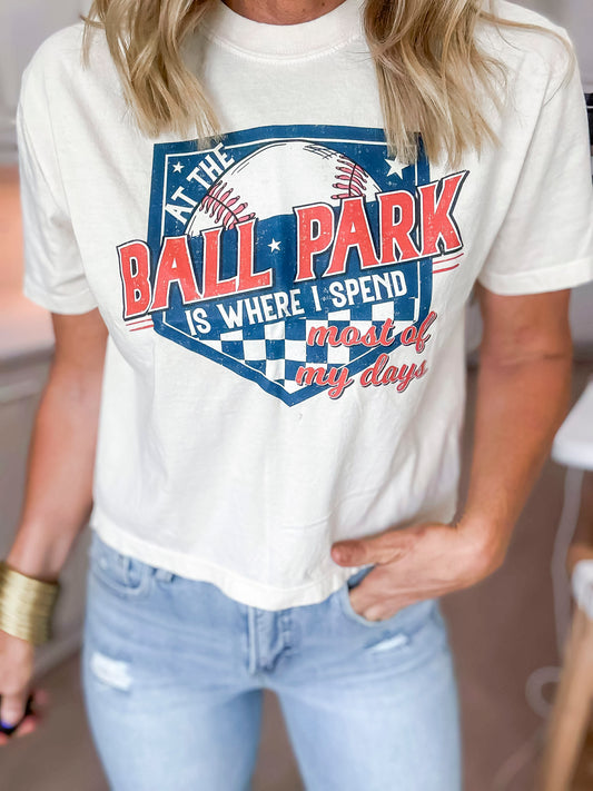 Baseball Ballpark Summers Garment Dyed Graphic Boxy Crop T-shirt