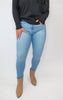 Light Wash Classic High Rise Skinny Jeans