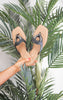 Sedric Accent thong-style sandal - Final Sale