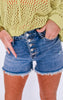 The Charlie High Waist Button Fly Destroy Hi-Lo Cut Hem Denim Shorts (REG/CURVY) | Judy Blue - Final Sale