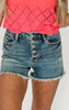 The Charlie High Waist Button Fly Destroy Hi-Lo Cut Hem Denim Shorts (REG/CURVY) | Judy Blue - Final Sale