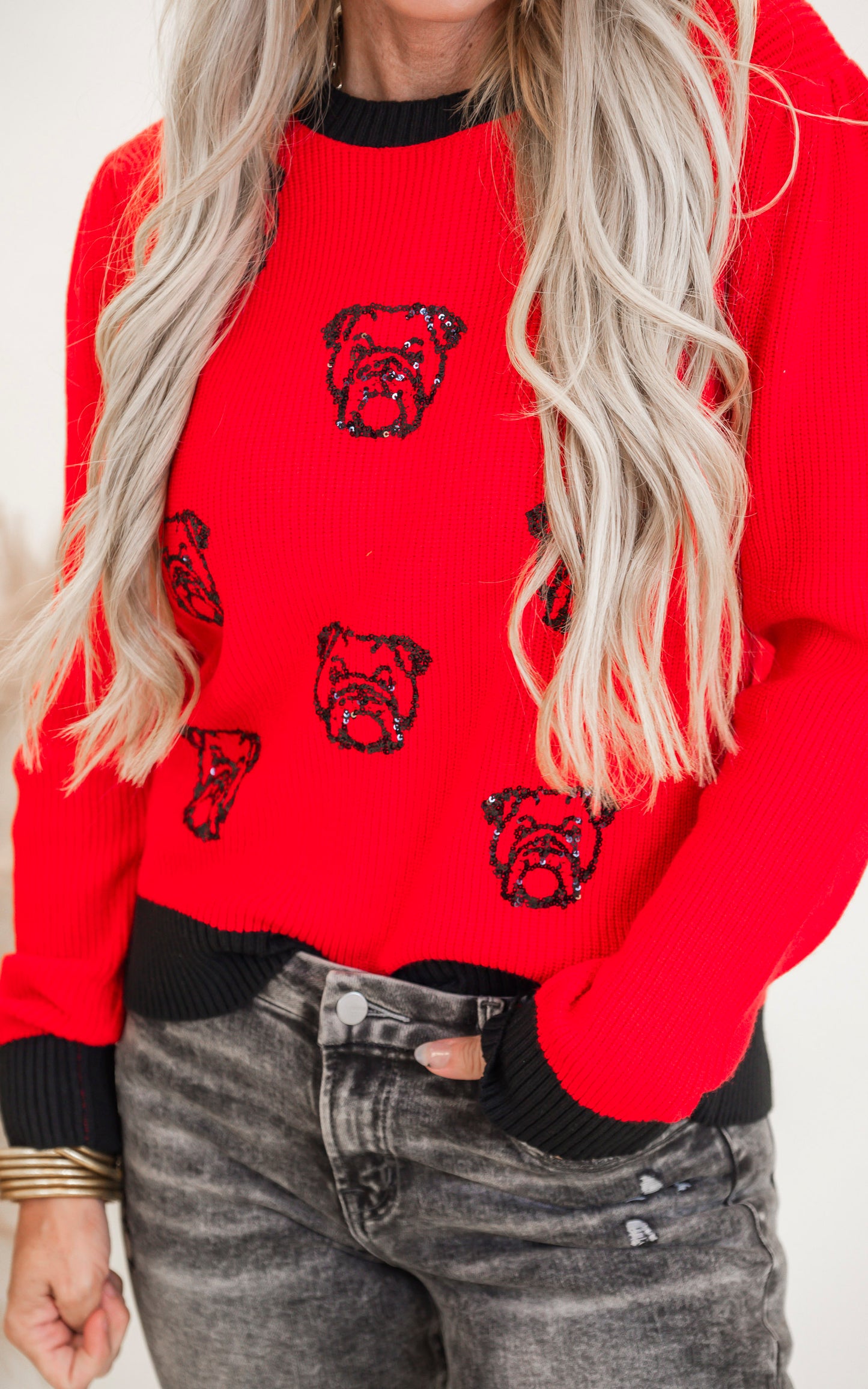 Sequin Multi Bull Dog Knit Long Sleeve Sweater