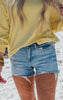 The Jessica High Rise Distressed Denim Short - Mica - Final Sale