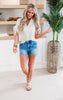 The Acadia High Rise Cut Off Denim Shorts | Mica