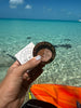 Coastal Glow Double Eye Shadows - C & D Beauty *30A SEPT PREORDER