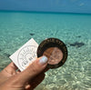 Coastal Glow Double Eye Shadows - C & D Beauty *30A SEPT PREORDER
