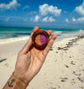 Coastal Glow Double Eye Shadows - C & D Beauty *30A SEPT PREORDER