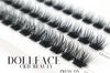 Dollface Press & Go Lash Kit - C & D Beauty *30A SEPT PREORDER