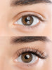 Infinity Mascara - Celesty