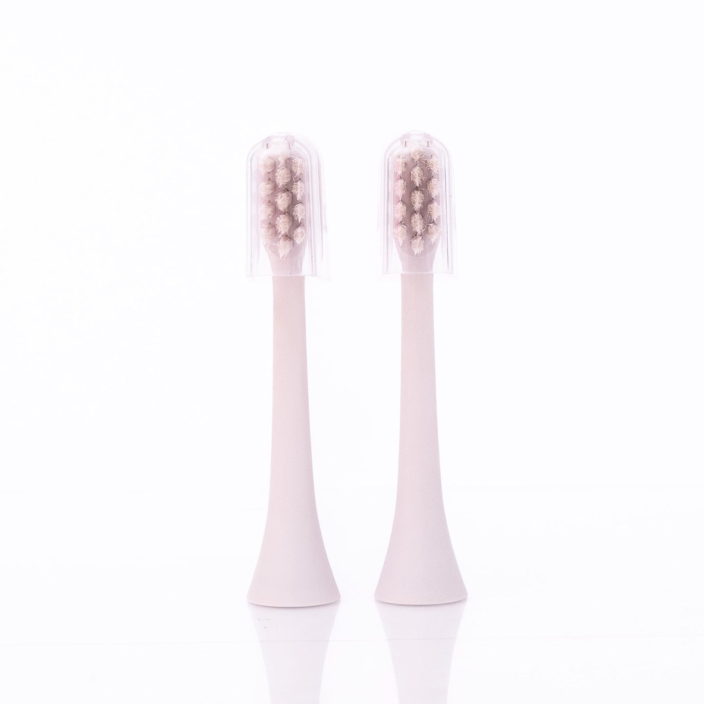 refill brush heads smile luv toothbrush | BEAUT *30A JANUARY PREORDER