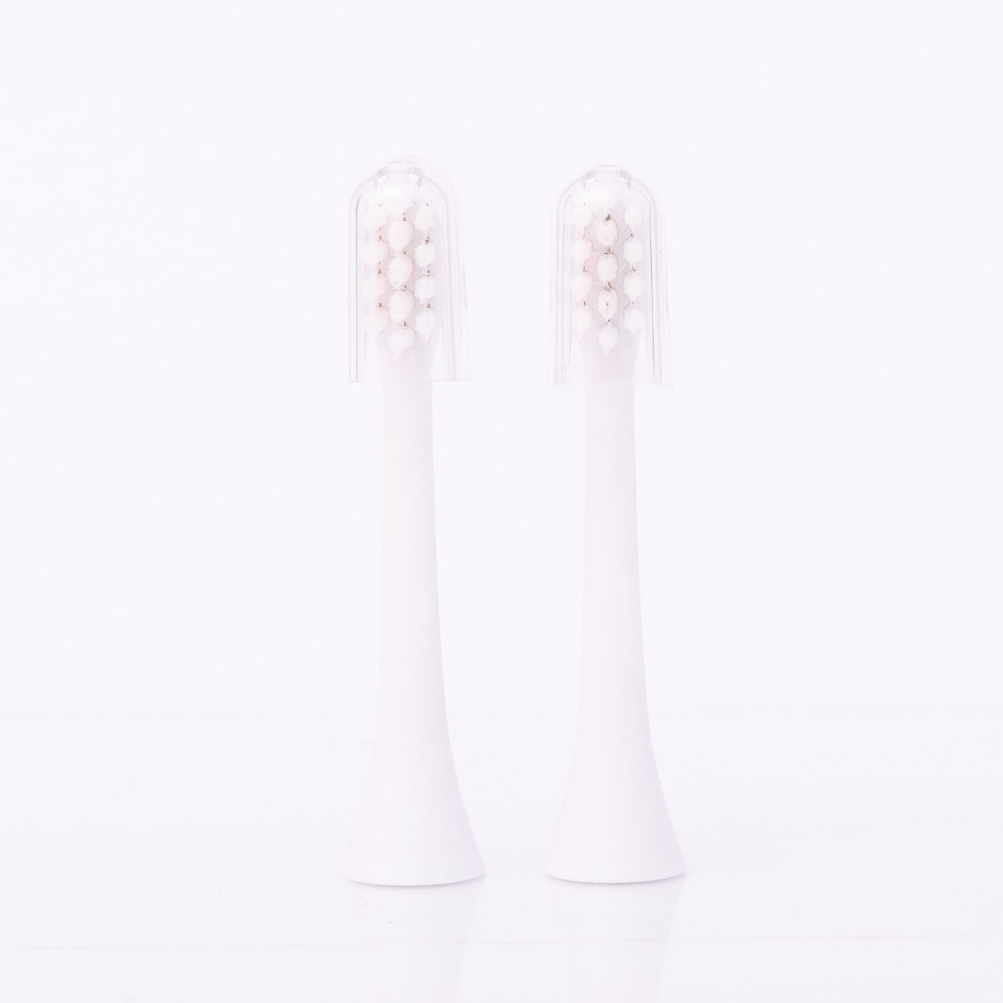 refill brush heads smile luv toothbrush | BEAUT *30A JANUARY PREORDER