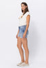 Judy Blue Full Size Mid-Rise Destroy Pocket Cutoff Denim Shorts