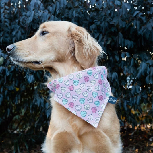 Valentine's Dog Slip On Bandana - Hearts | FINAL SALE