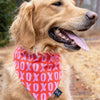 XOXO Valentine's Dog Slip On Bandana - Hearts | FINAL SALE