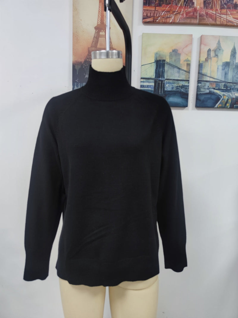 Turtleneck Long Sleeve Solid Color Sweater