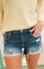 dark wash distressed shorts