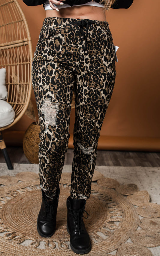 leopard distressed joggers