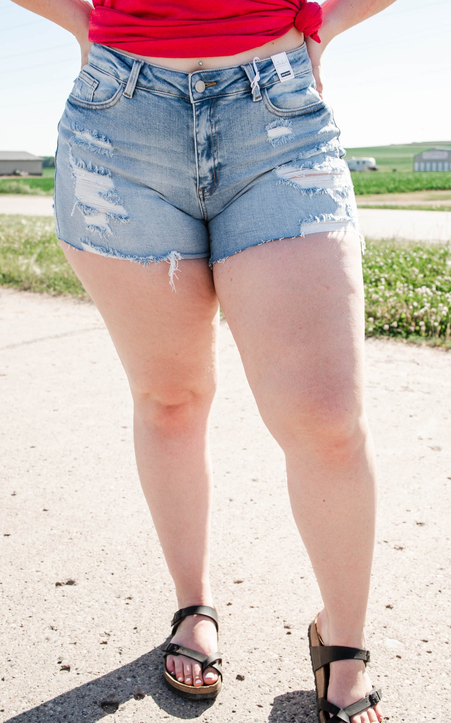 distressed Judy Blue Shorts 