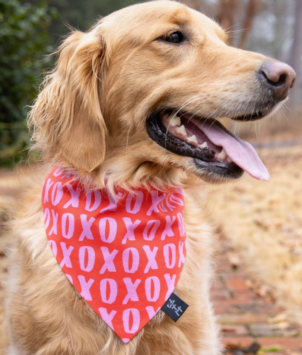 XOXO Valentine's Dog Slip On Bandana - Hearts | FINAL SALE