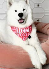 XOXO Valentine's Dog Slip On Bandana - Hearts | FINAL SALE