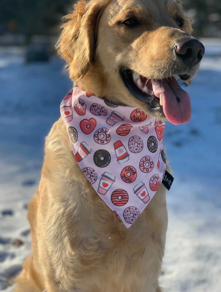 Donut Valentine's Dog Slip On Bandana | FINAL SALE