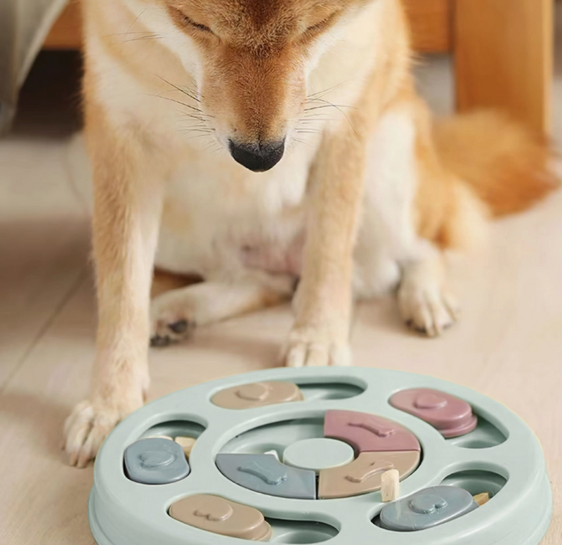 Slow Feeder Puzzle Dog Bowl | FINAL SALE