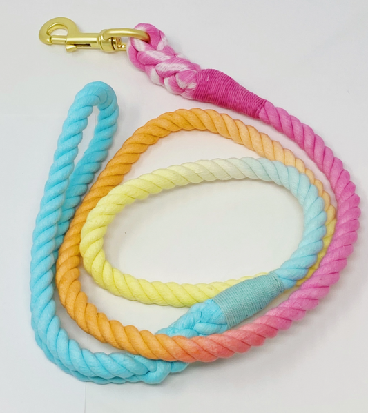 Hand Dyed Cotton Rope Leash - Rainbow