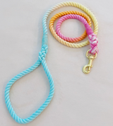 Hand Dyed Cotton Rope Leash - Rainbow