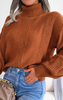 Solid Turtleneck Lantern Sleeve Cable Knit Sweater