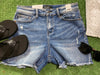 Judy Blue Denim Shorts